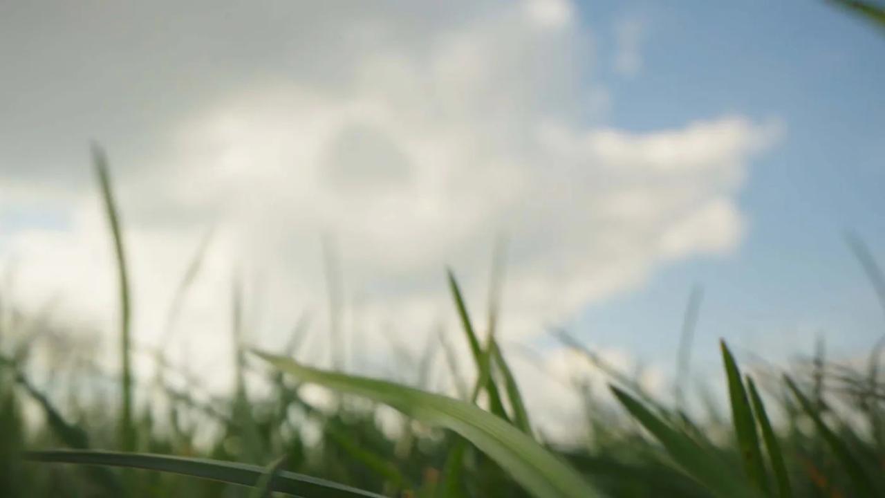 Ikea and sustainability