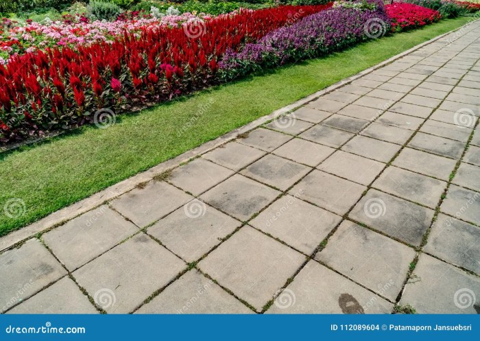 Pathway Decorative concrete walkway
