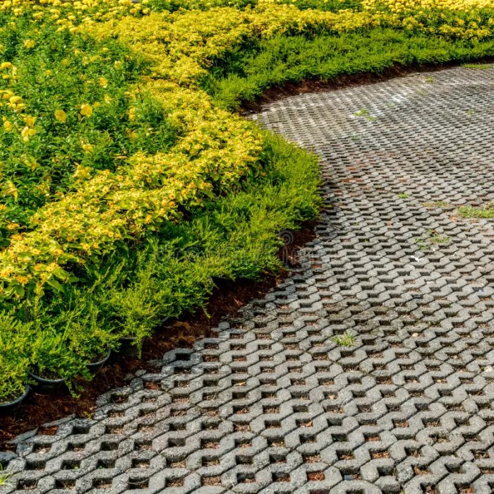 Decorative concrete walkway