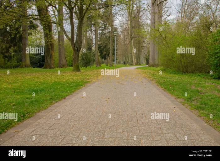 Backyard concrete pathway