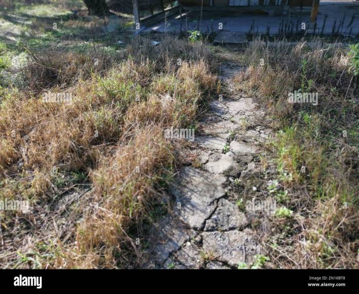 Broken concrete pathway