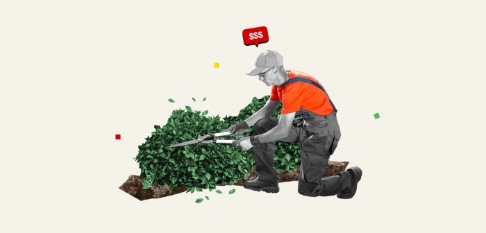 Outdoor space designer