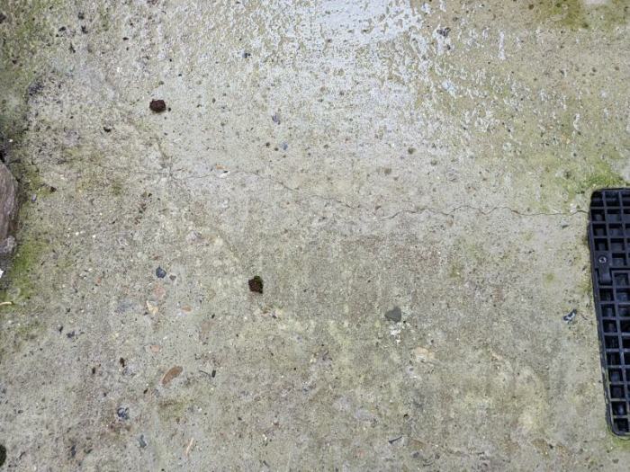 Broken concrete pathway